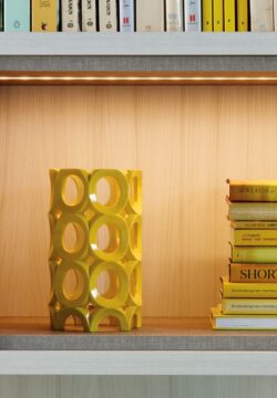 Sistema de Closet iluminado con libros y elementos de decoración diseñado por California Closets